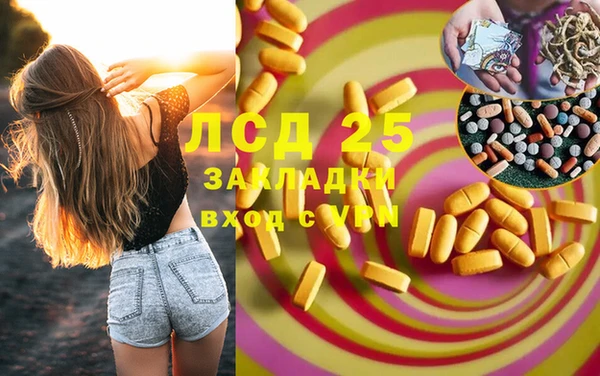 мдпв Богданович