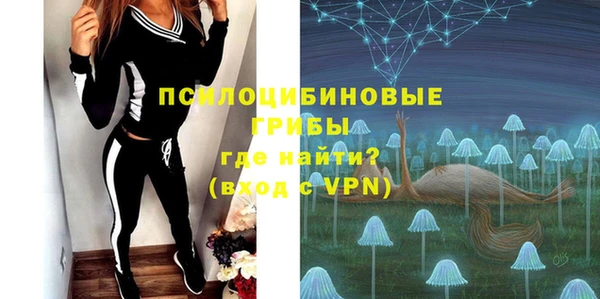 гидропоника Белокуриха